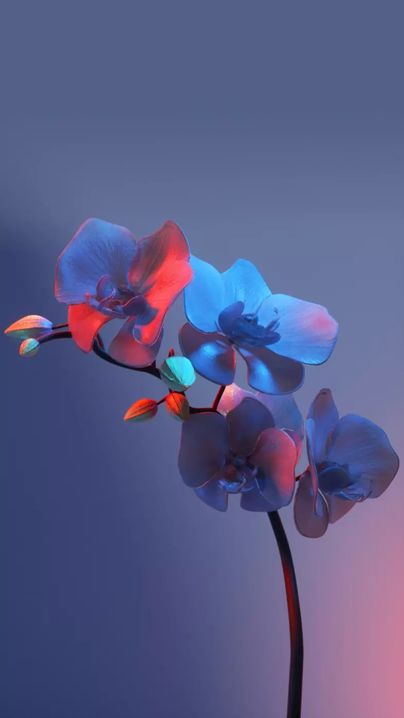 flower wallpaper