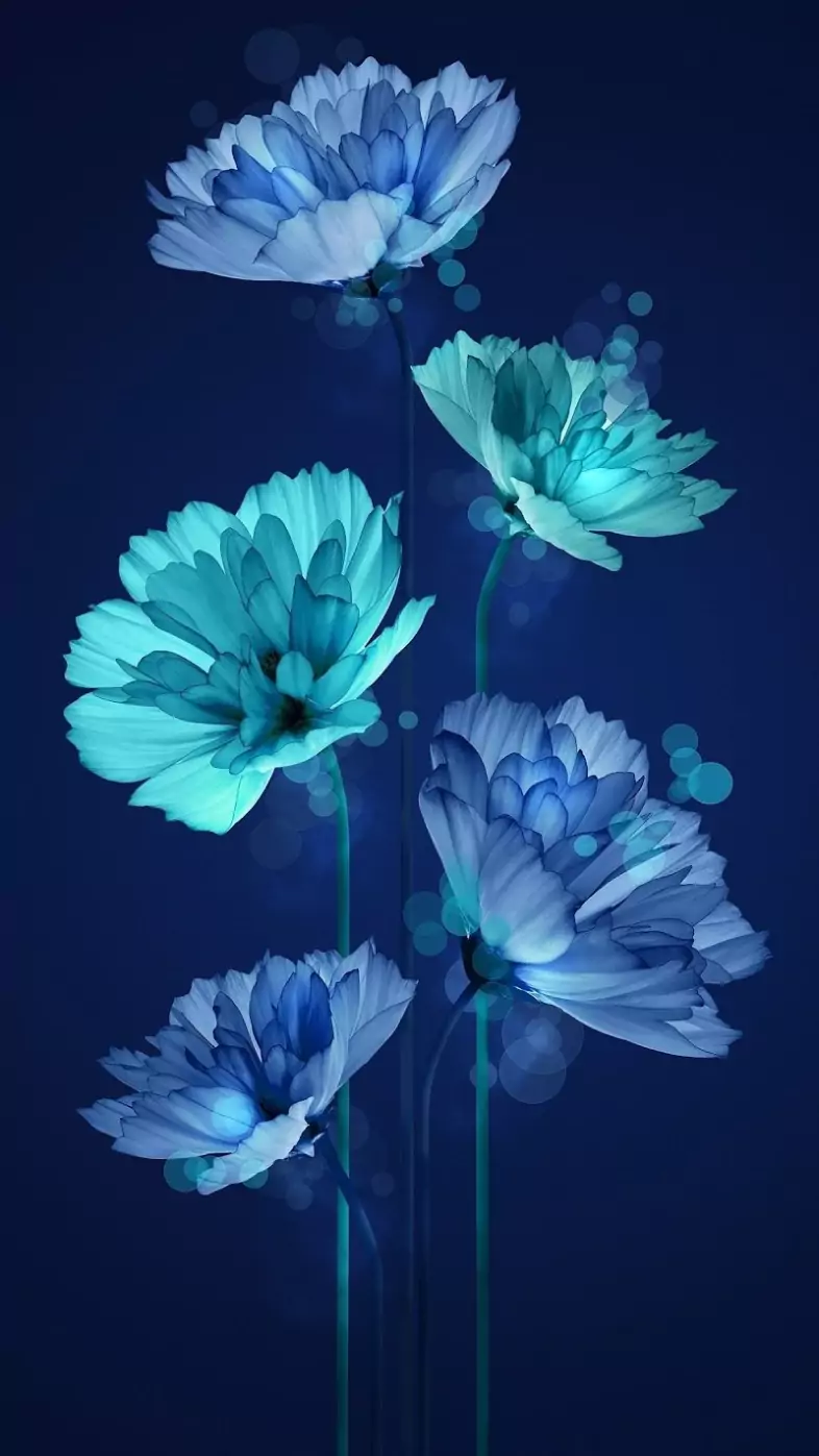 flower wallpaper
