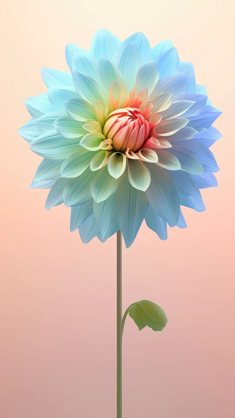 flower macro colour wallpaper