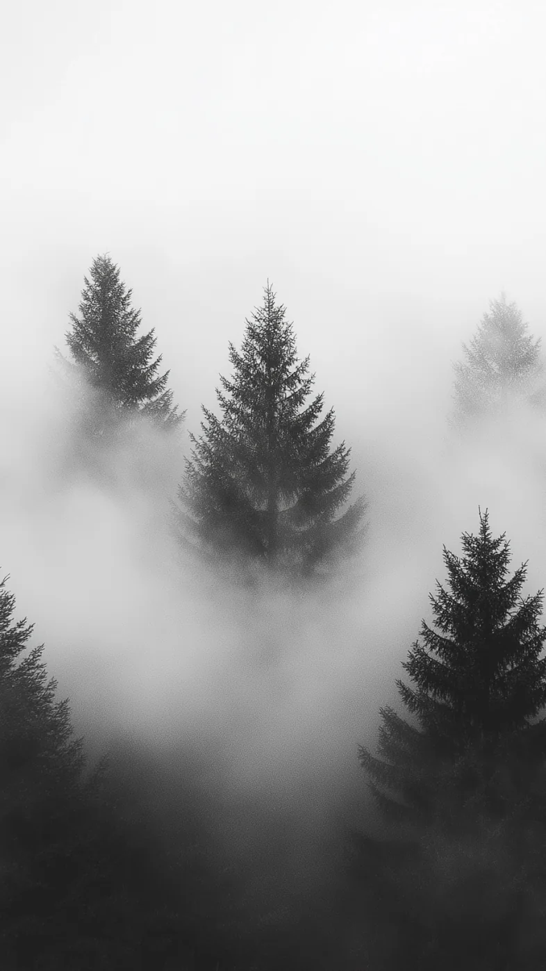 foggy nature wallpaper