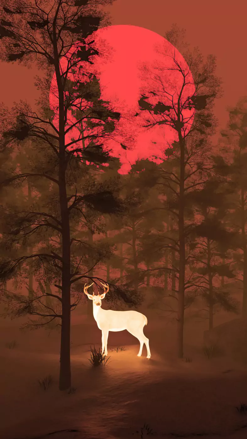 follow of my light reindeer wallpaper