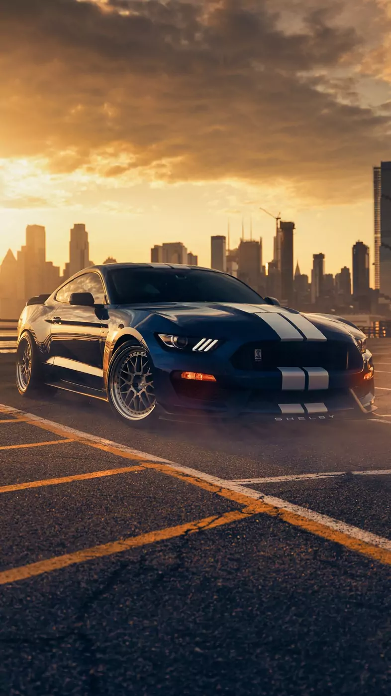 ford mustang shelby car wallpaper