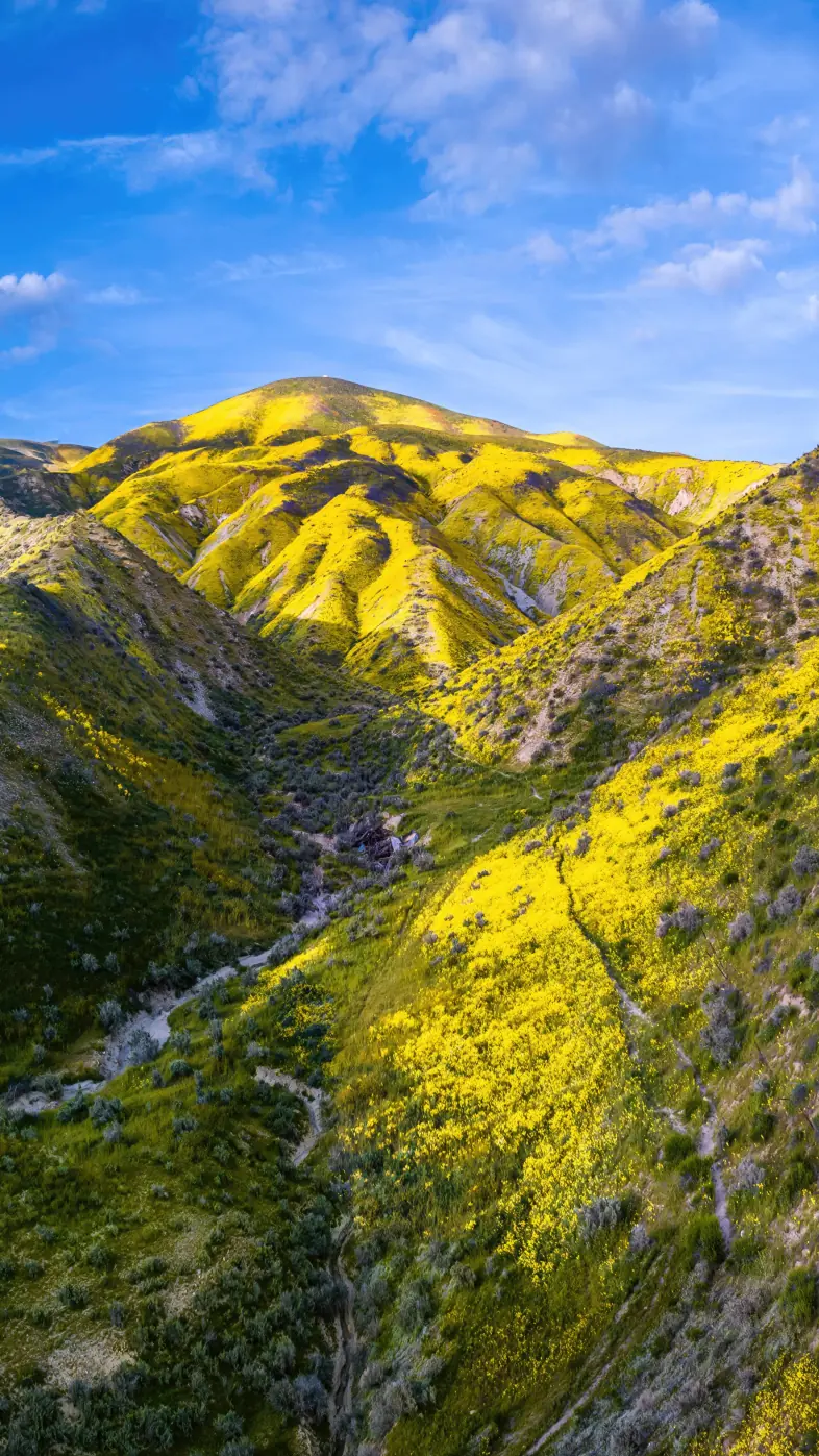 green mountains wallpaper