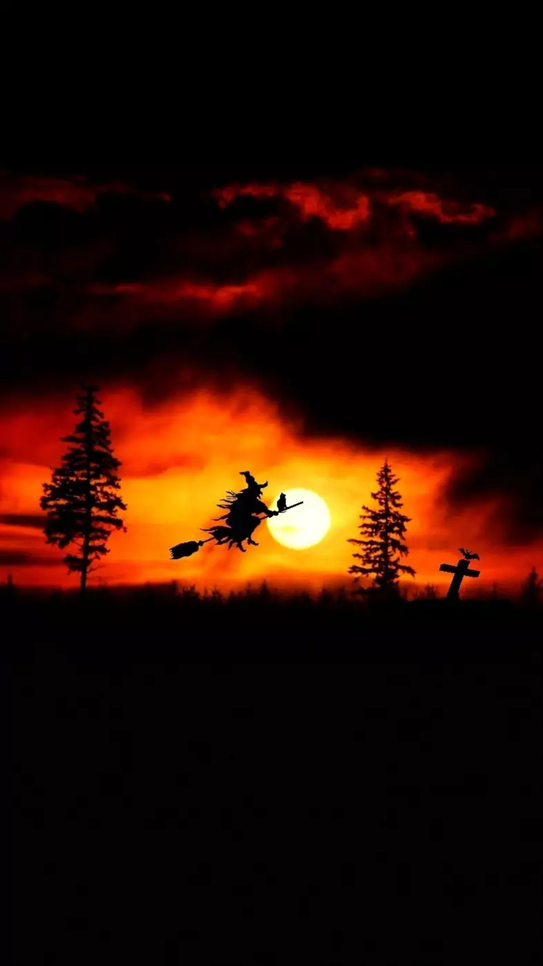 halloween witch fantasy wallpaper
