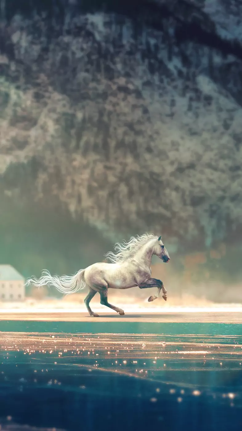 horse running fantasy wallpaper