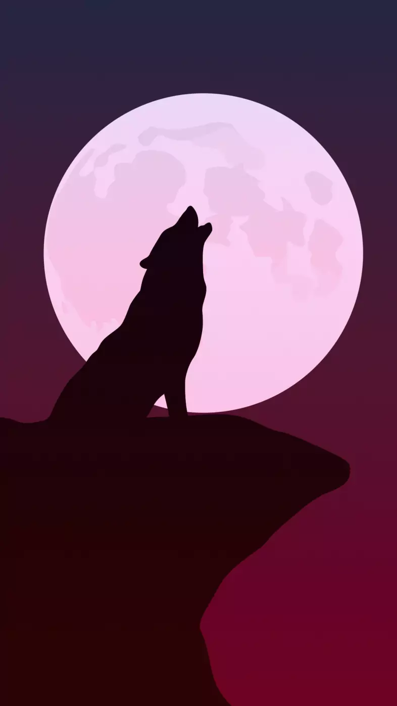 howling wolf minimalist  wallpaper