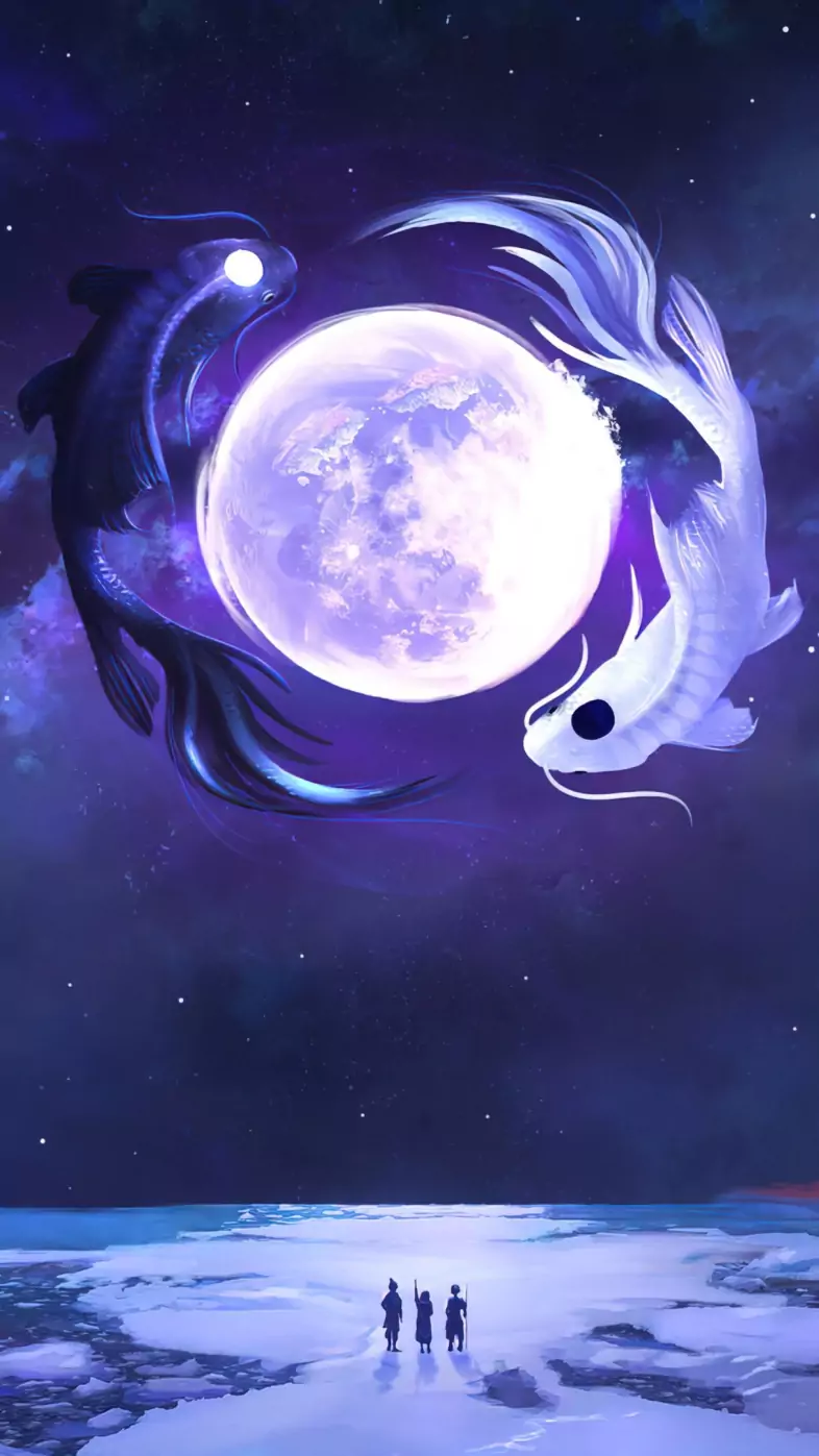 koi fish at moonlight wallpaper