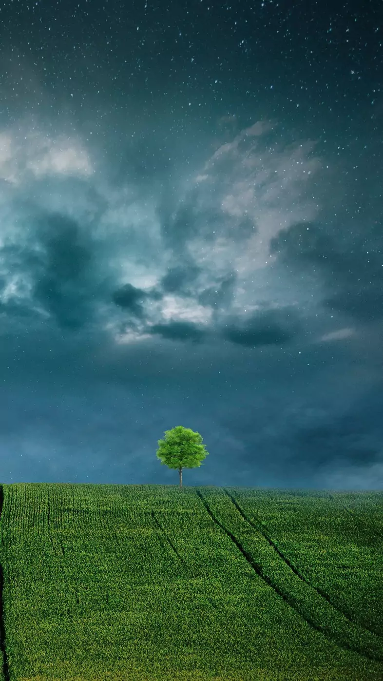 landscape lone tree wallpaper