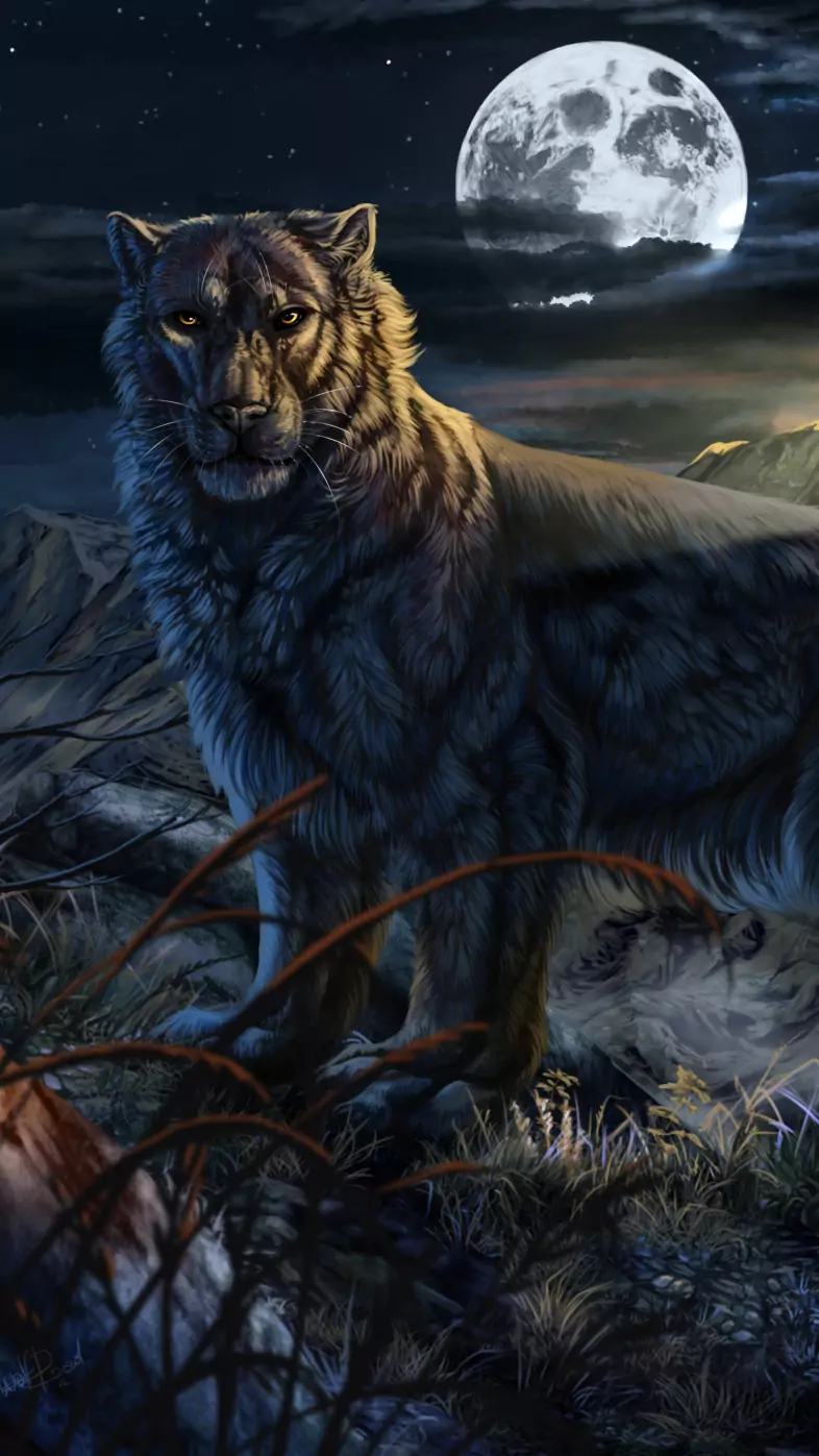 leopard fantasy  wallpaper