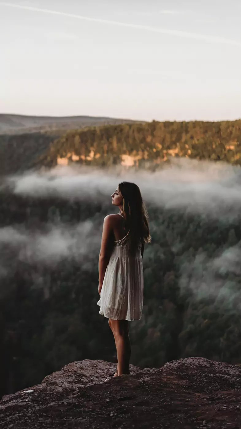 lost mornings wallpaper