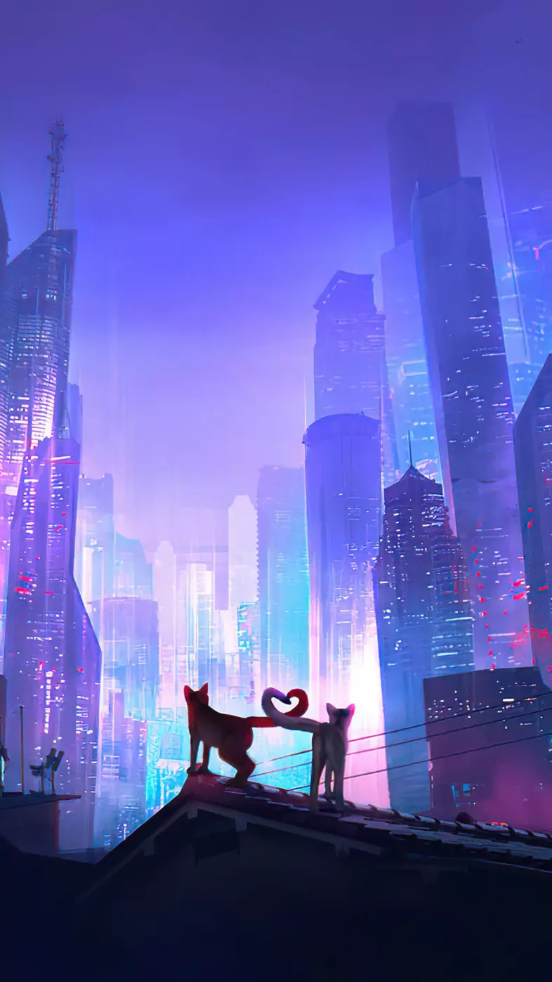 love season of cats wallpaper