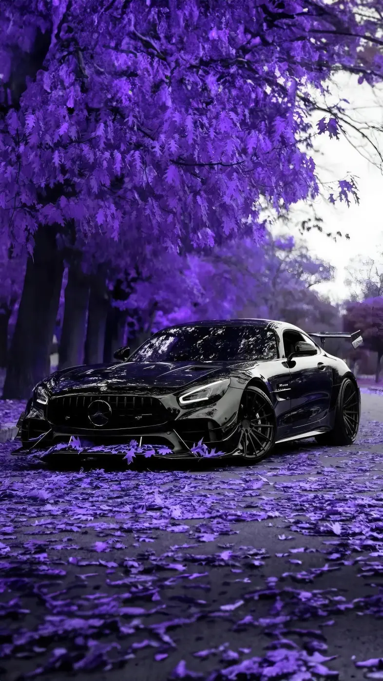 mercedes benz amg gtr car wallpaper