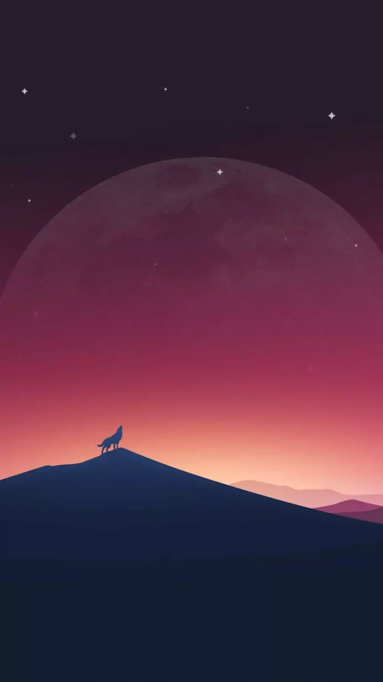 minimalism  wallpaper
