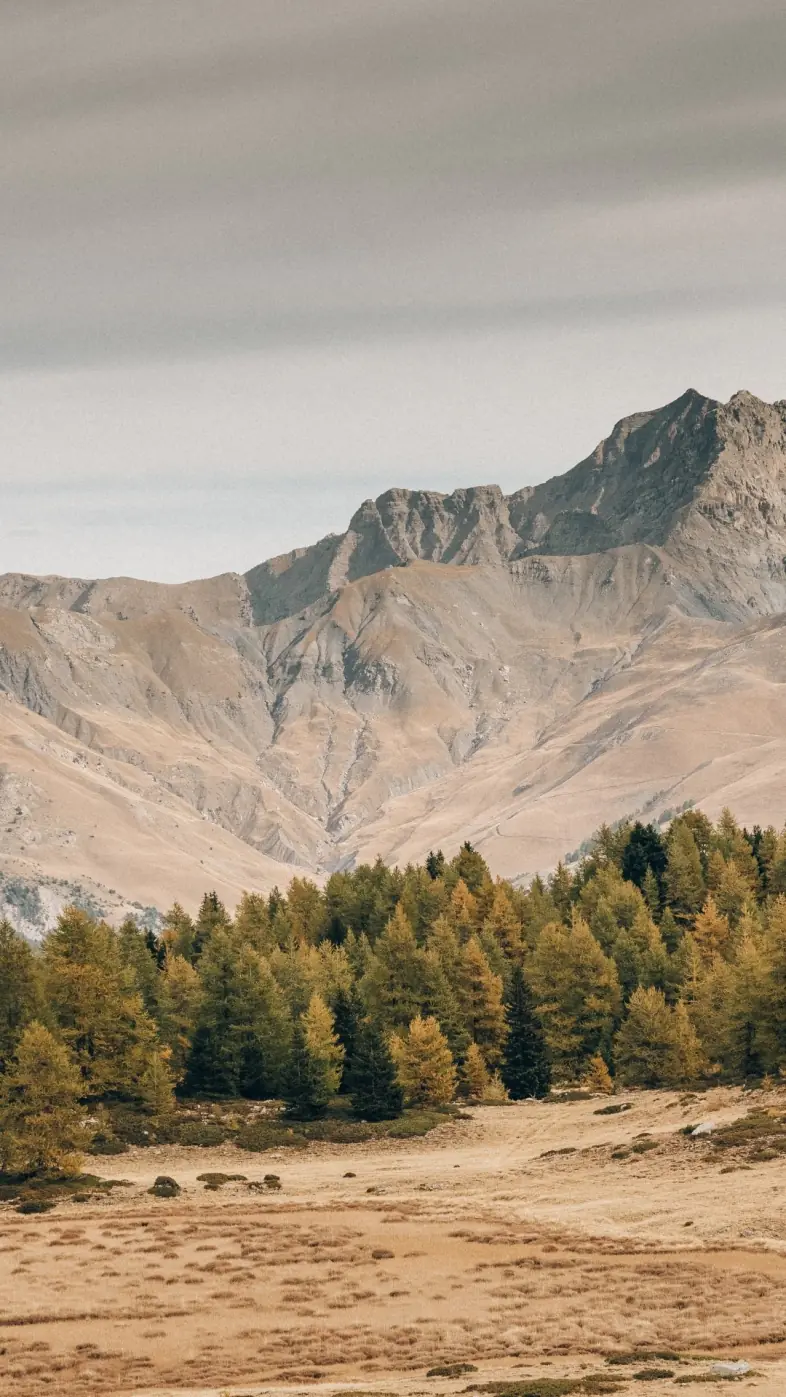 mountain landscape wallpaper