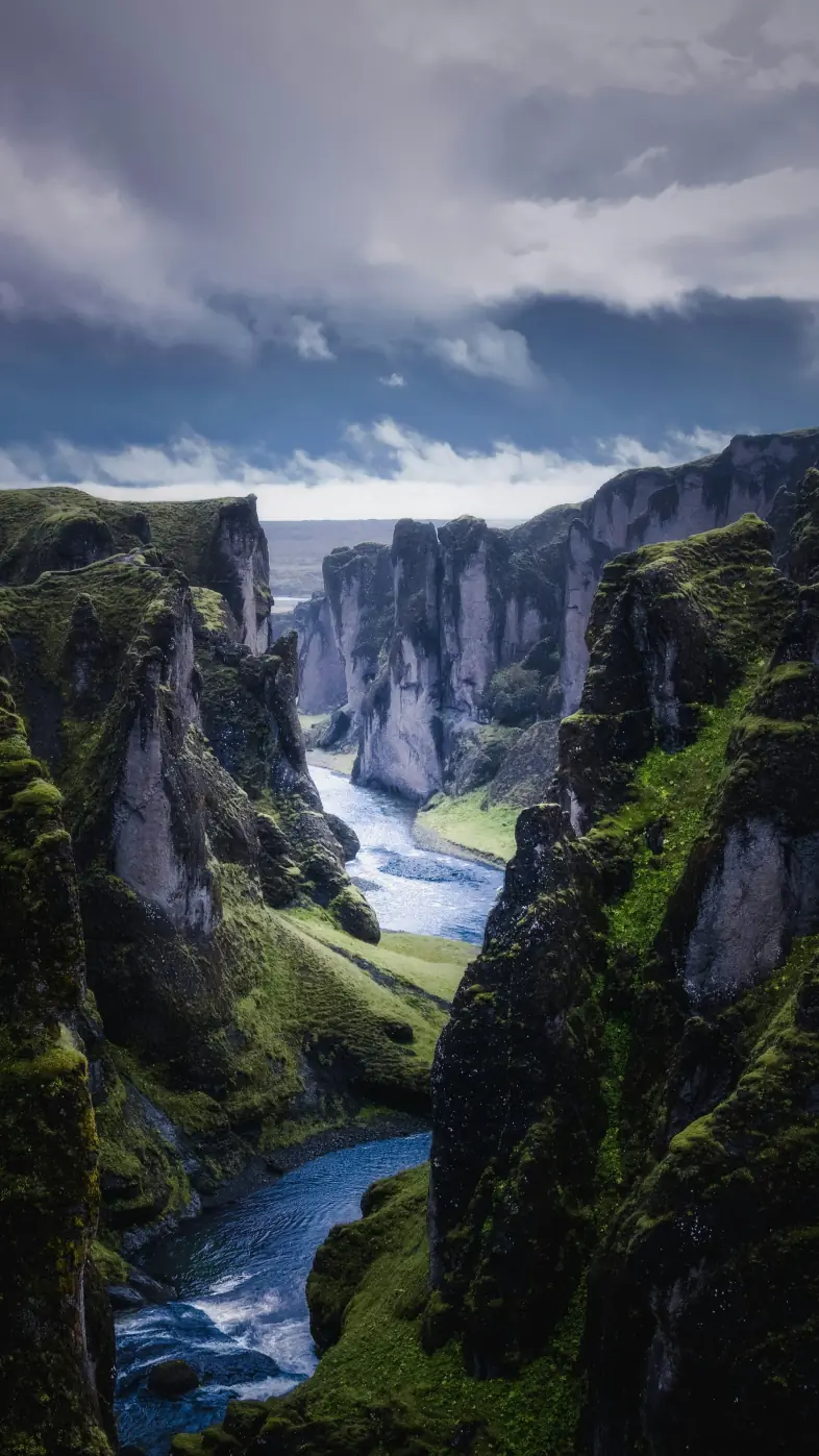 nature wallpaper