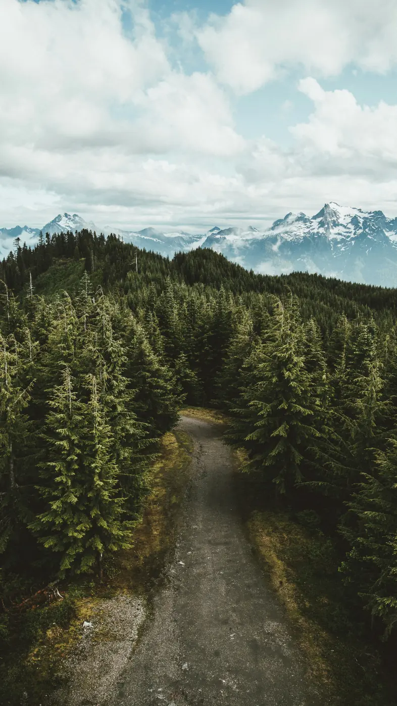 nature wallpaper