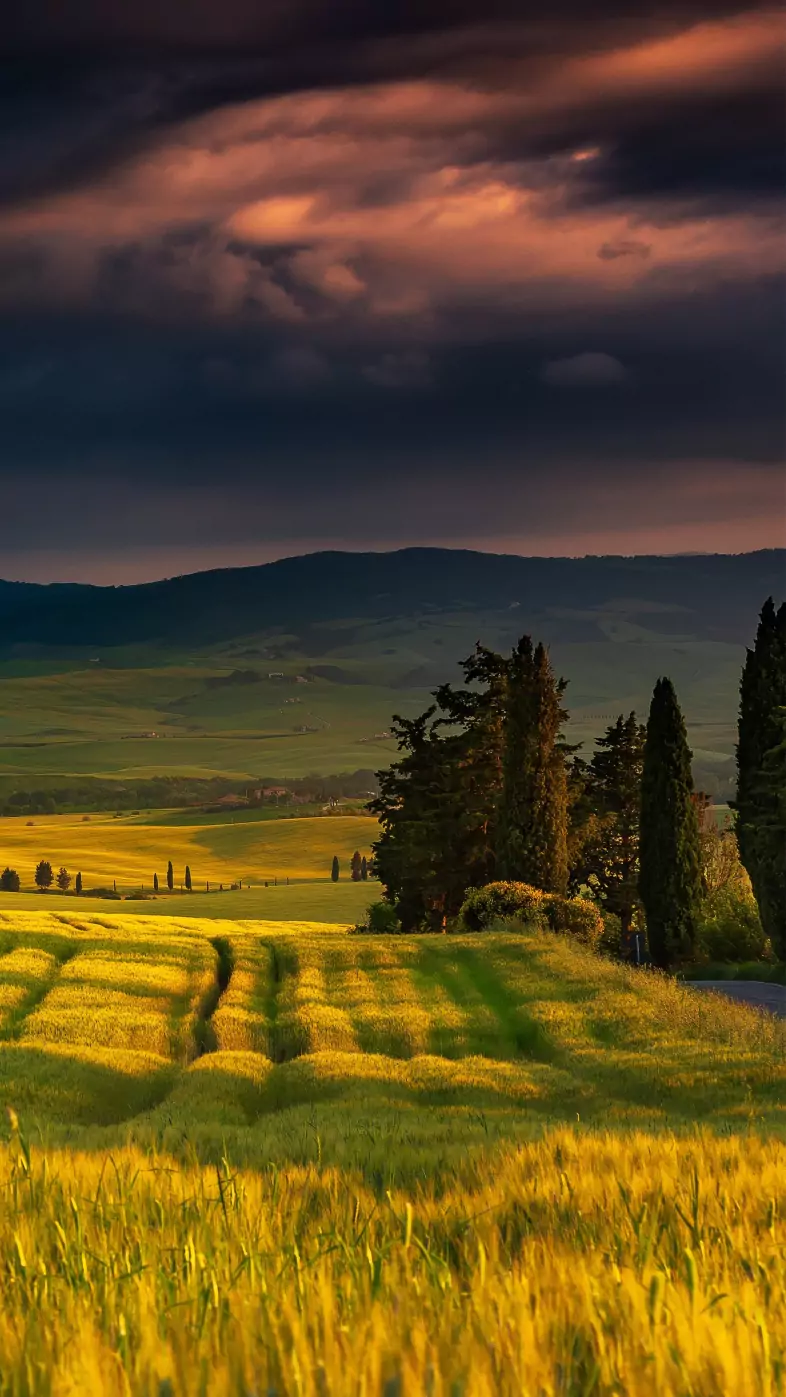 nature wallpaper