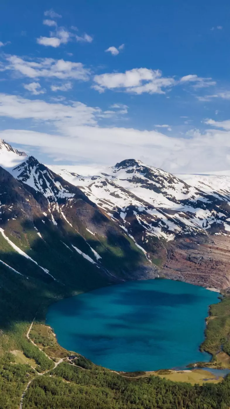 nature wallpaper
