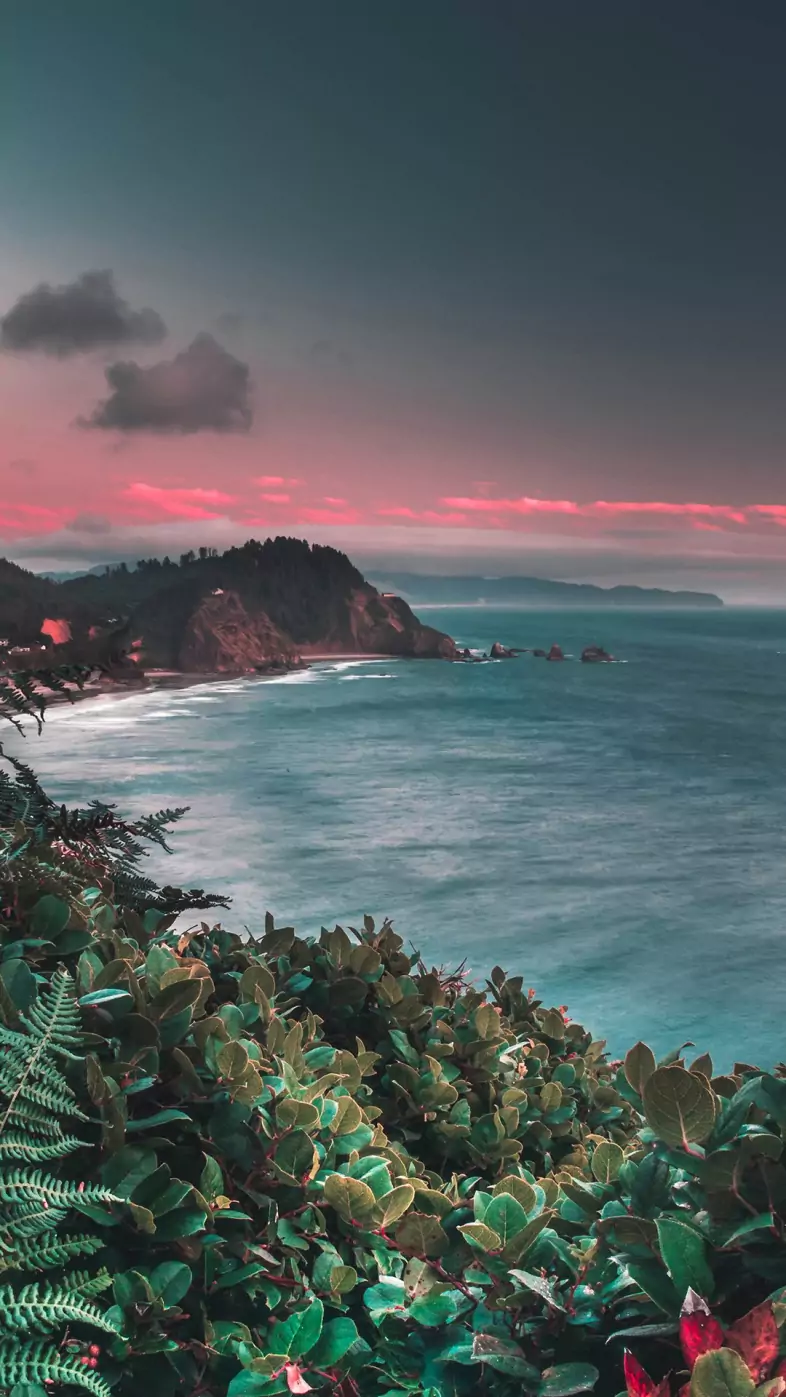 nature wallpaper