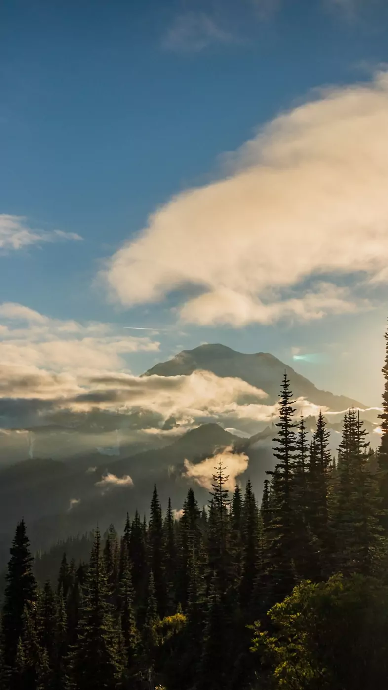 nature wallpaper