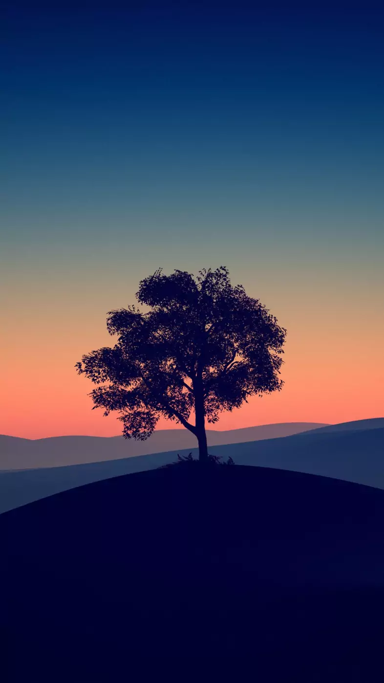 nature wallpaper