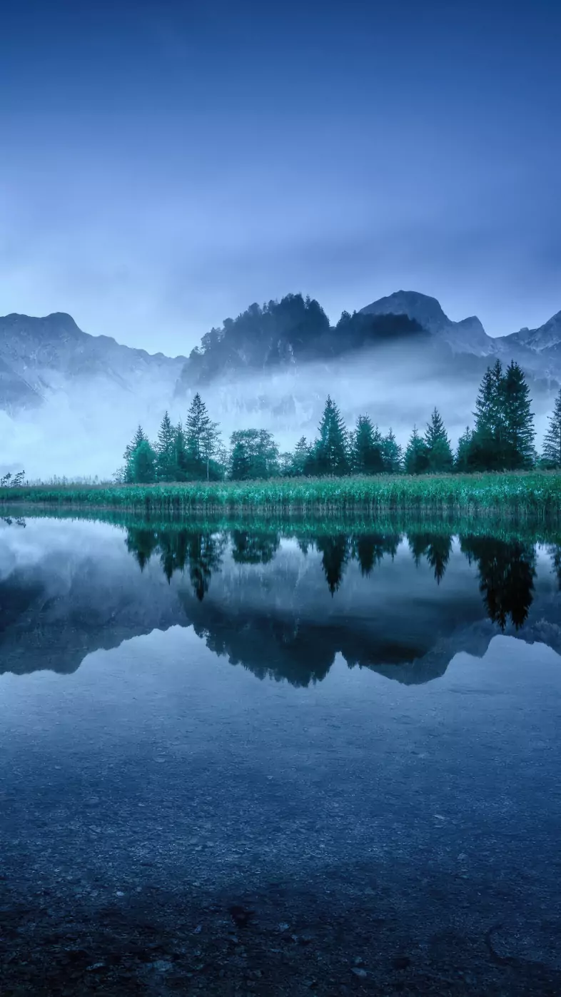 nature wallpaper