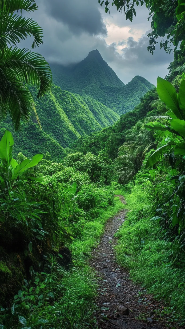 nature wallpaper