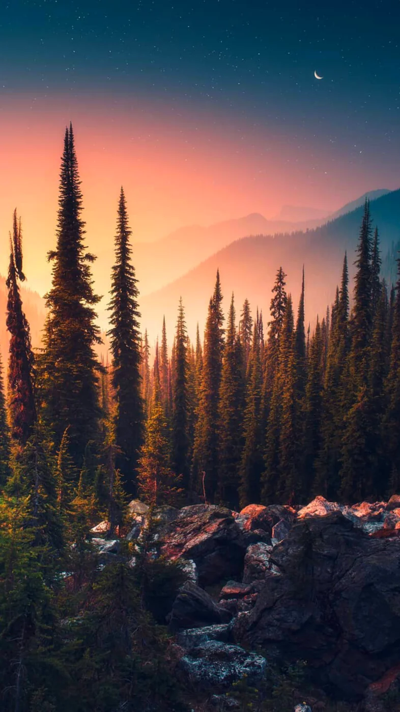 nature landscape plant wallpaper