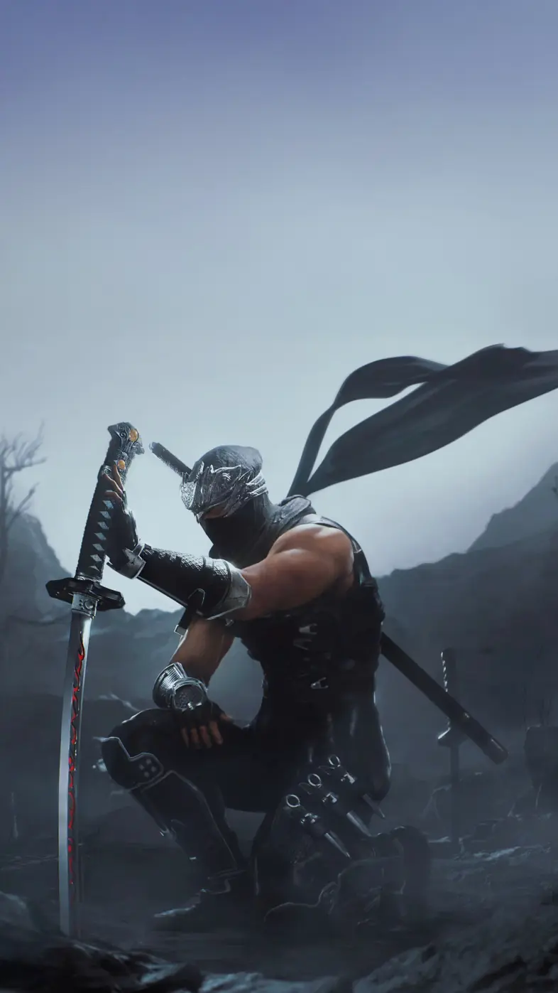 ninja gaiden 2 black game wallpaper