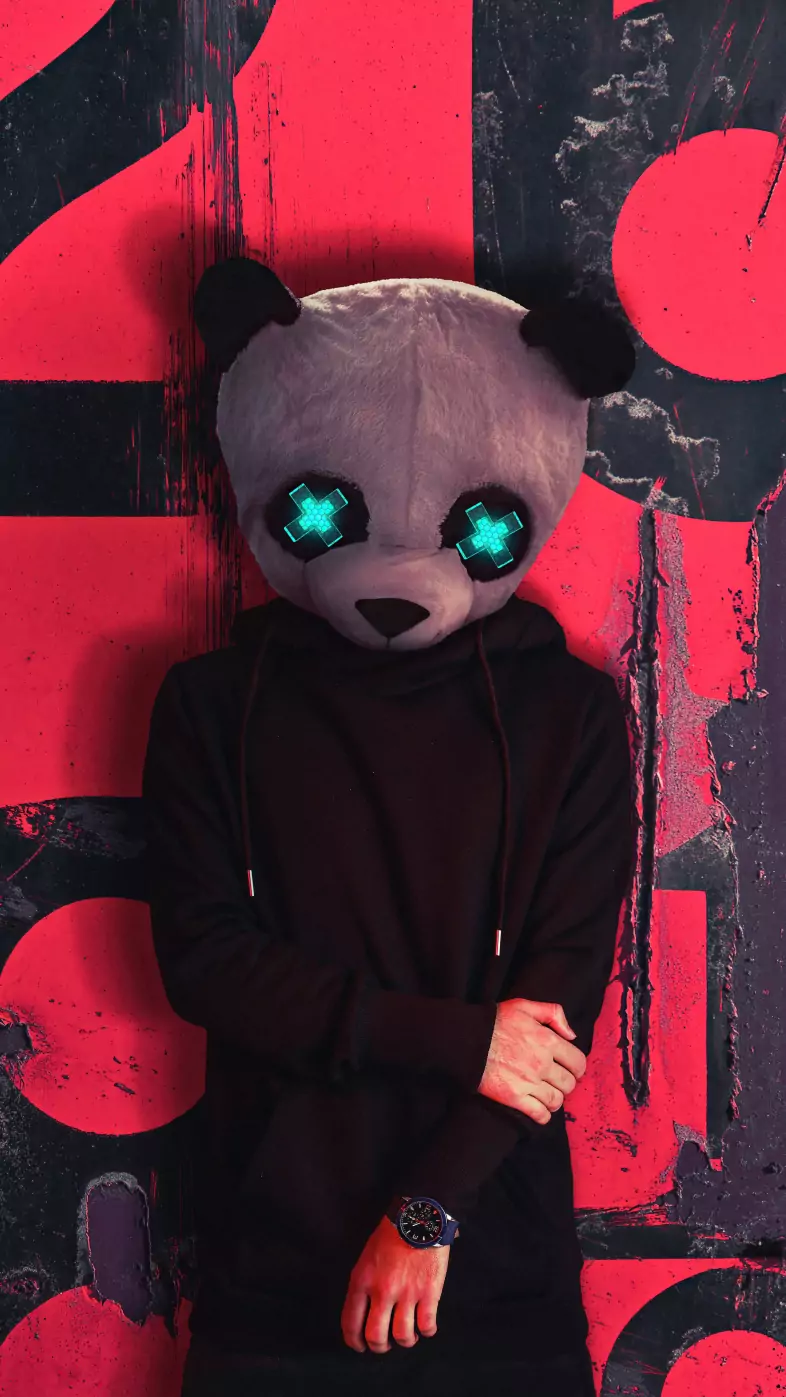 panda mask boy wallpaper