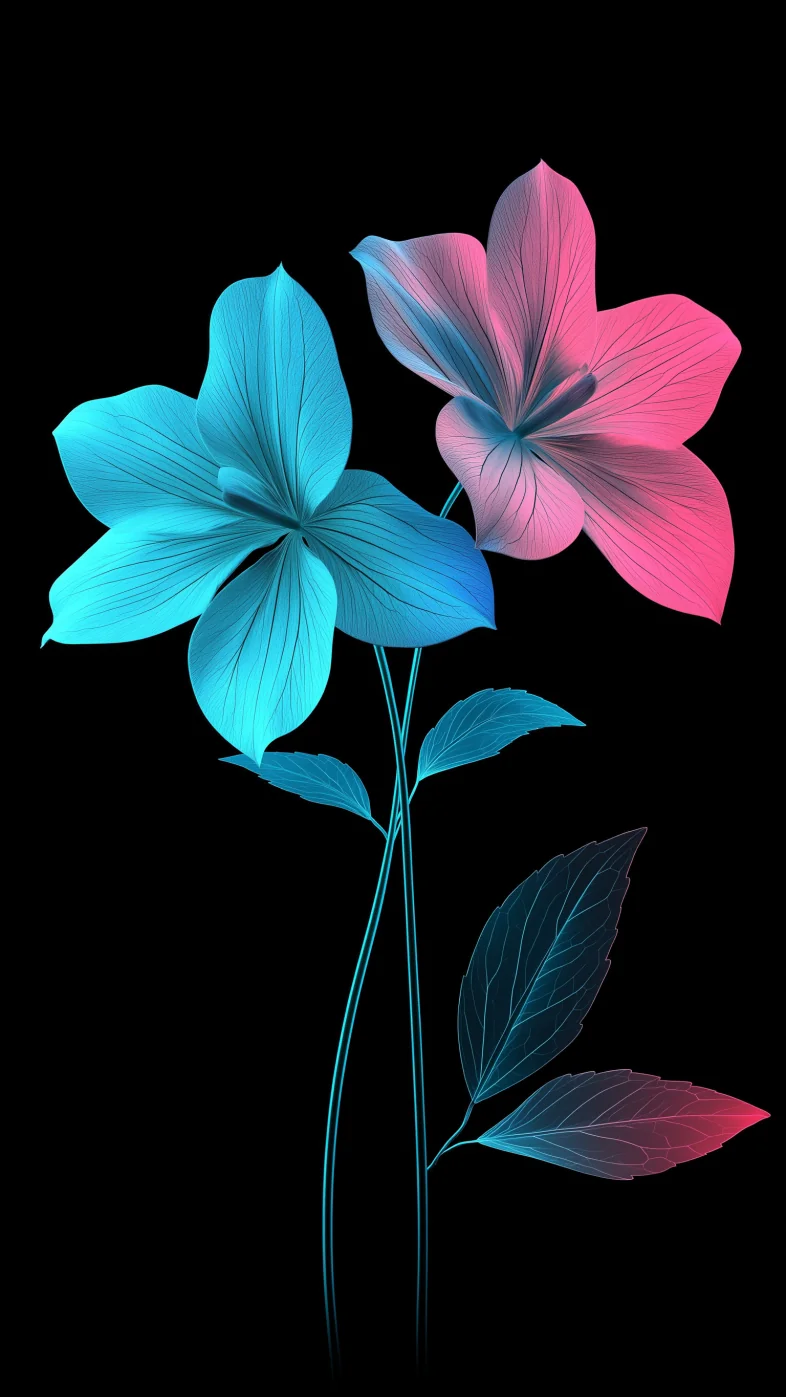 poppy flower wallpaper