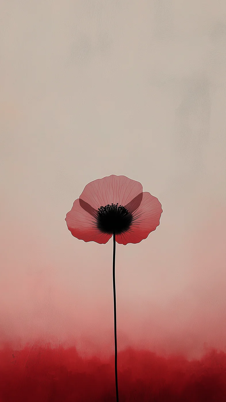 poppy flower wallpaper