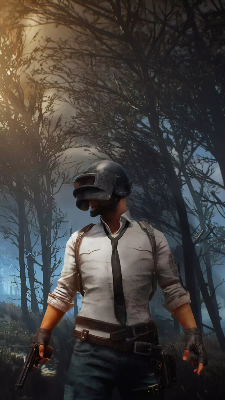 pubg wallpaper