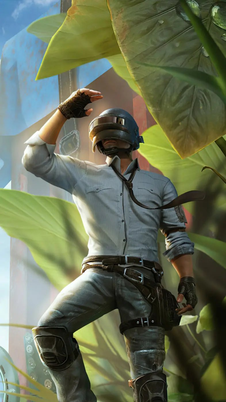 pubg microcosm game wallpaper