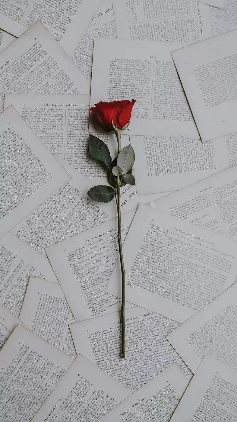 red rose wallpaper
