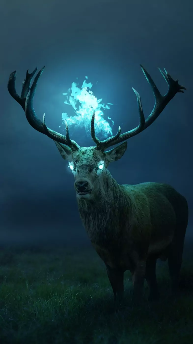 reindeer wallpaper