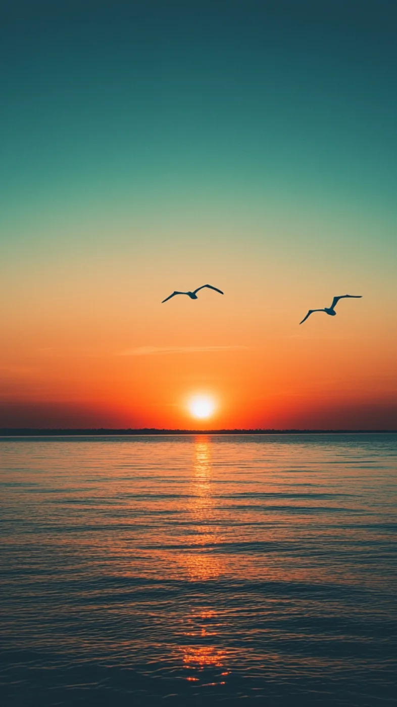 sea sunset  wallpaper