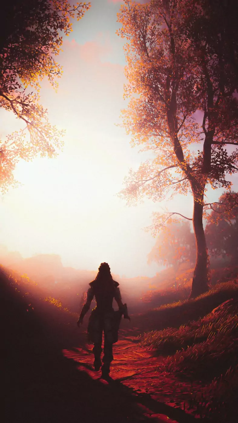 shadow owers wallpaper