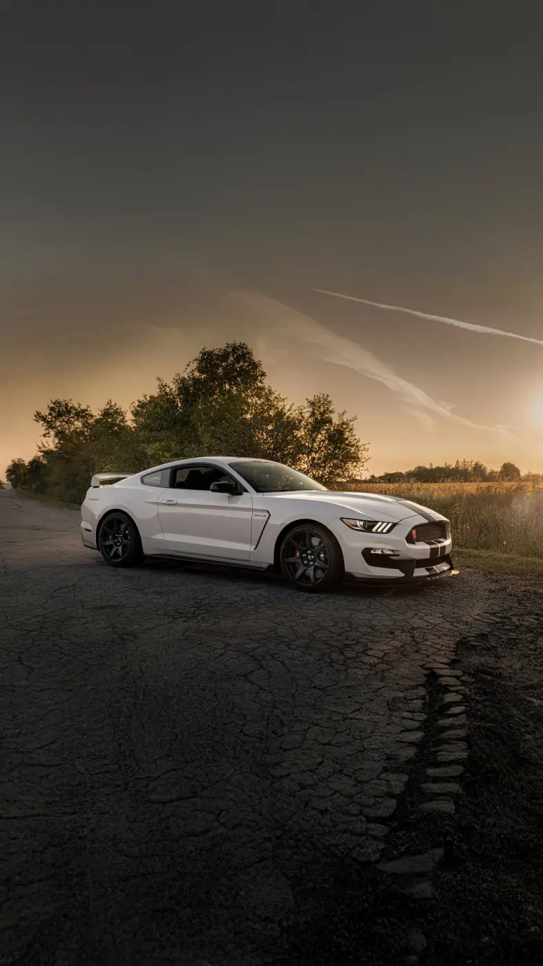 shelby gt 350r car wallpaper