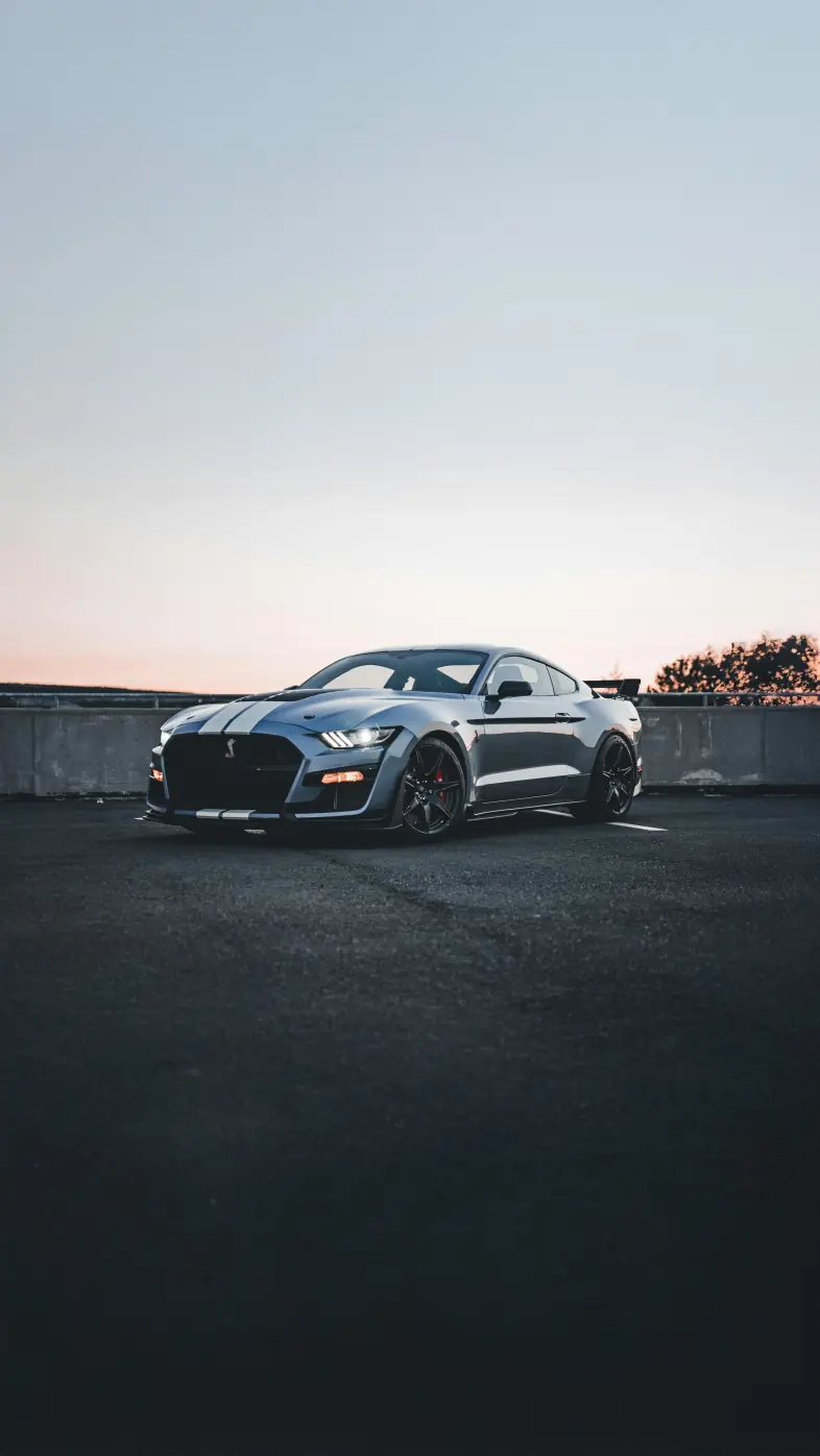 shelby gt car wallpaper