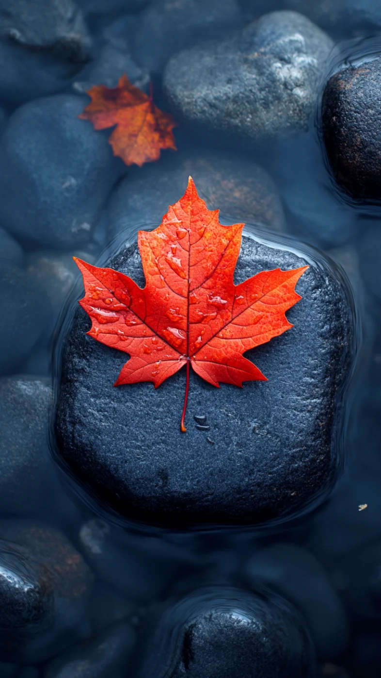 single colorful leaves wallpaper