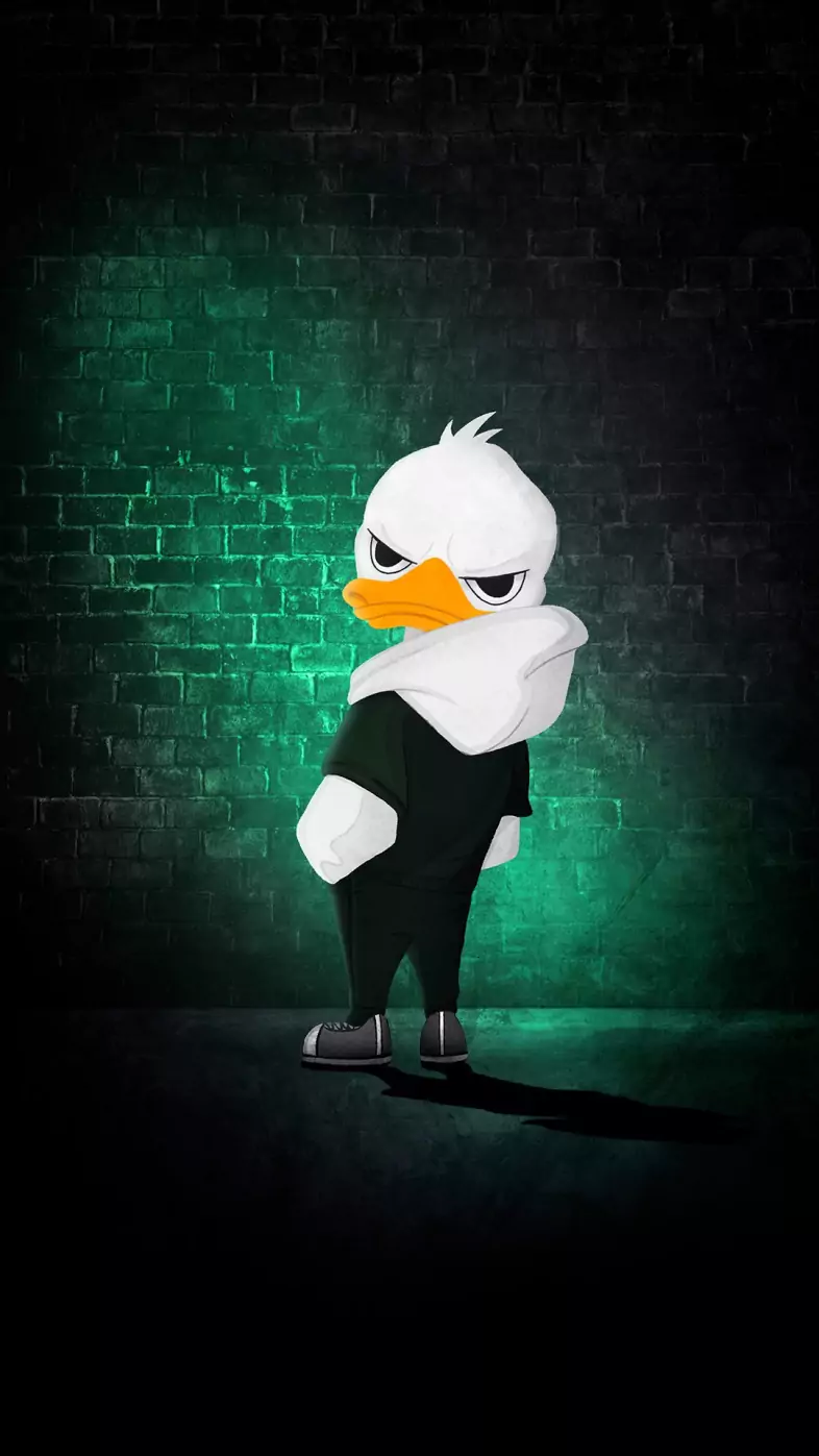 stylish duck wallpaper