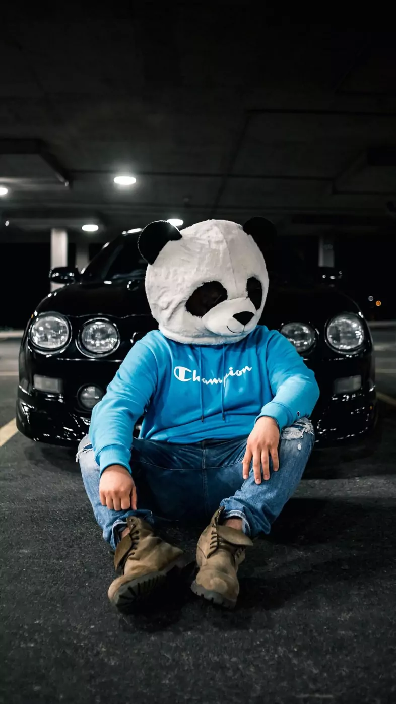 stylish panda mask wallpaper