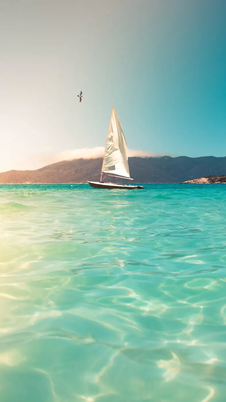summer wallpaper