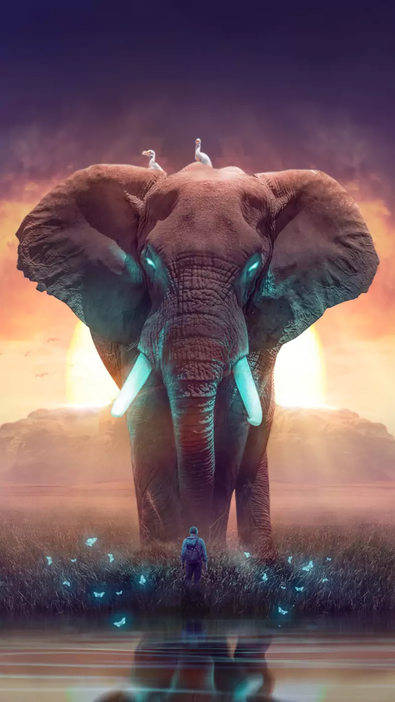 the elephant dream wallpaper