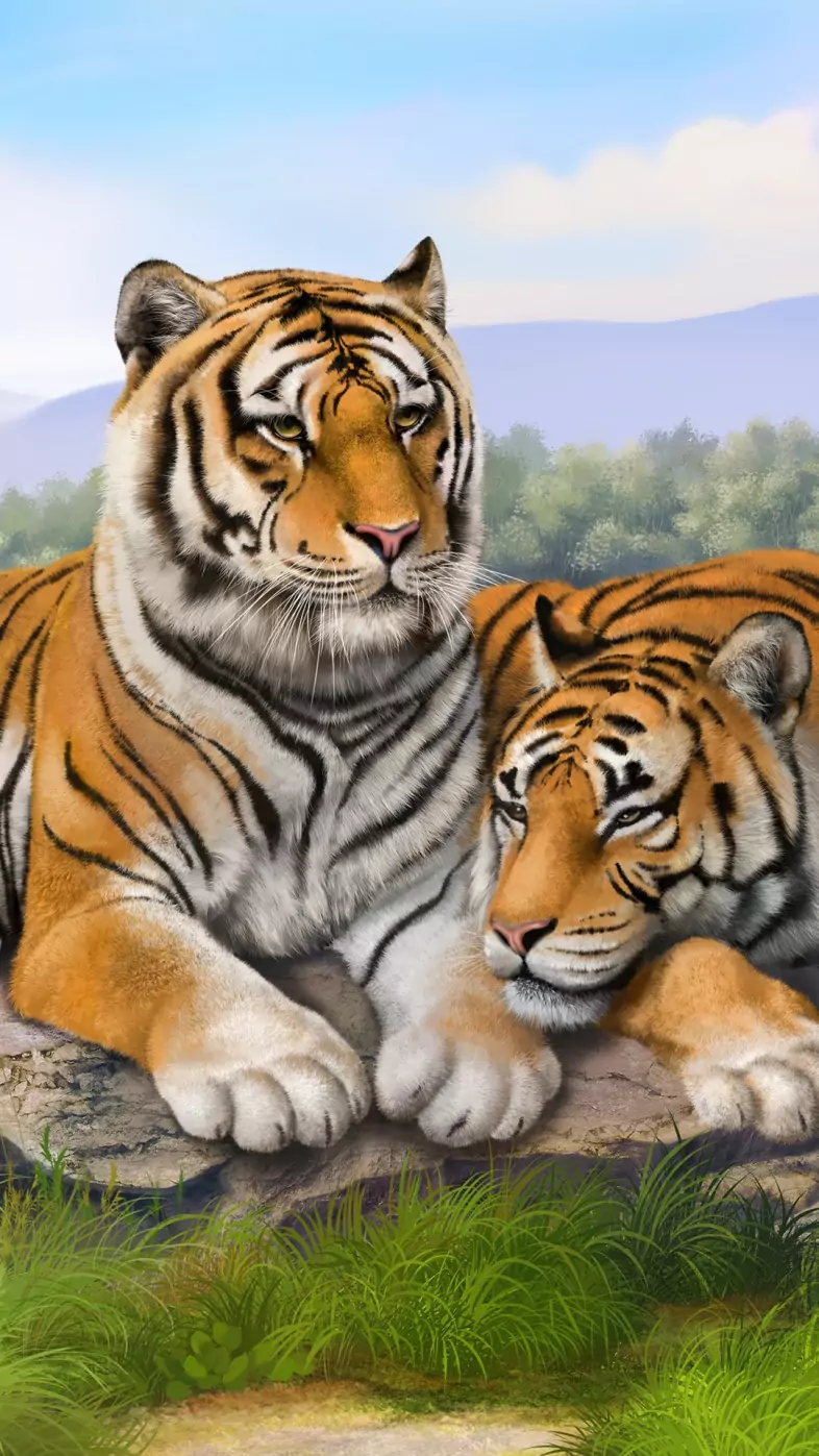 tiger wallpaper