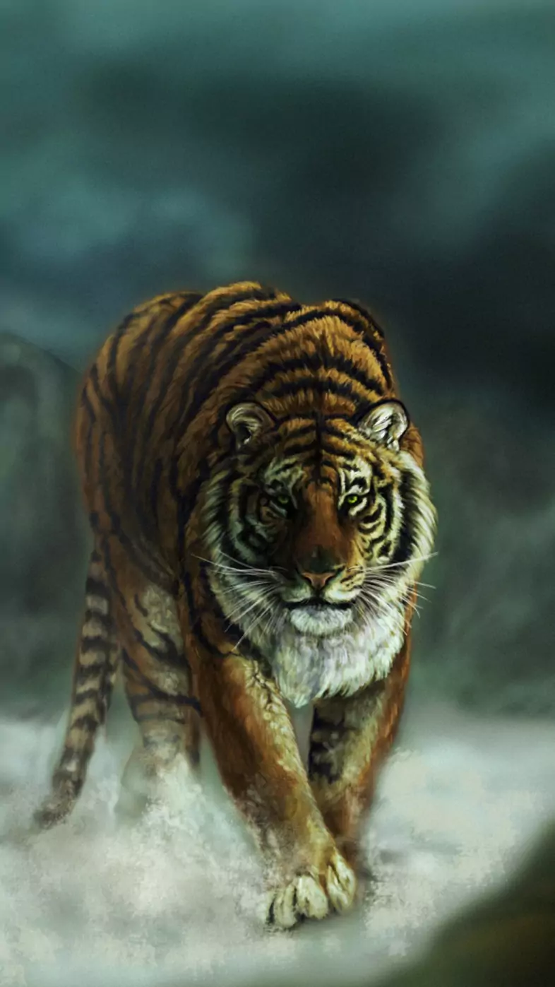 tiger1 wallpaper