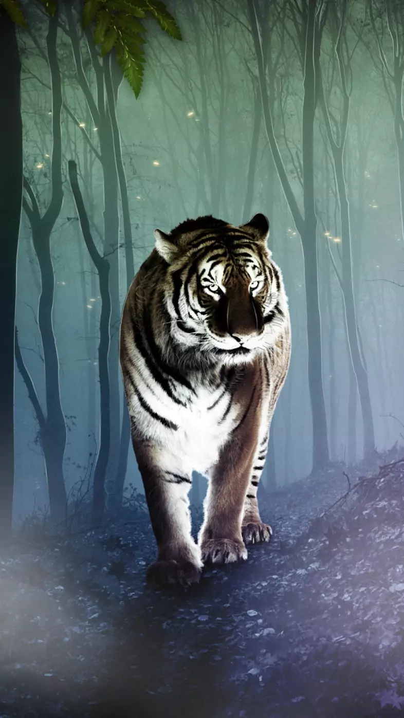 tiger2 wallpaper