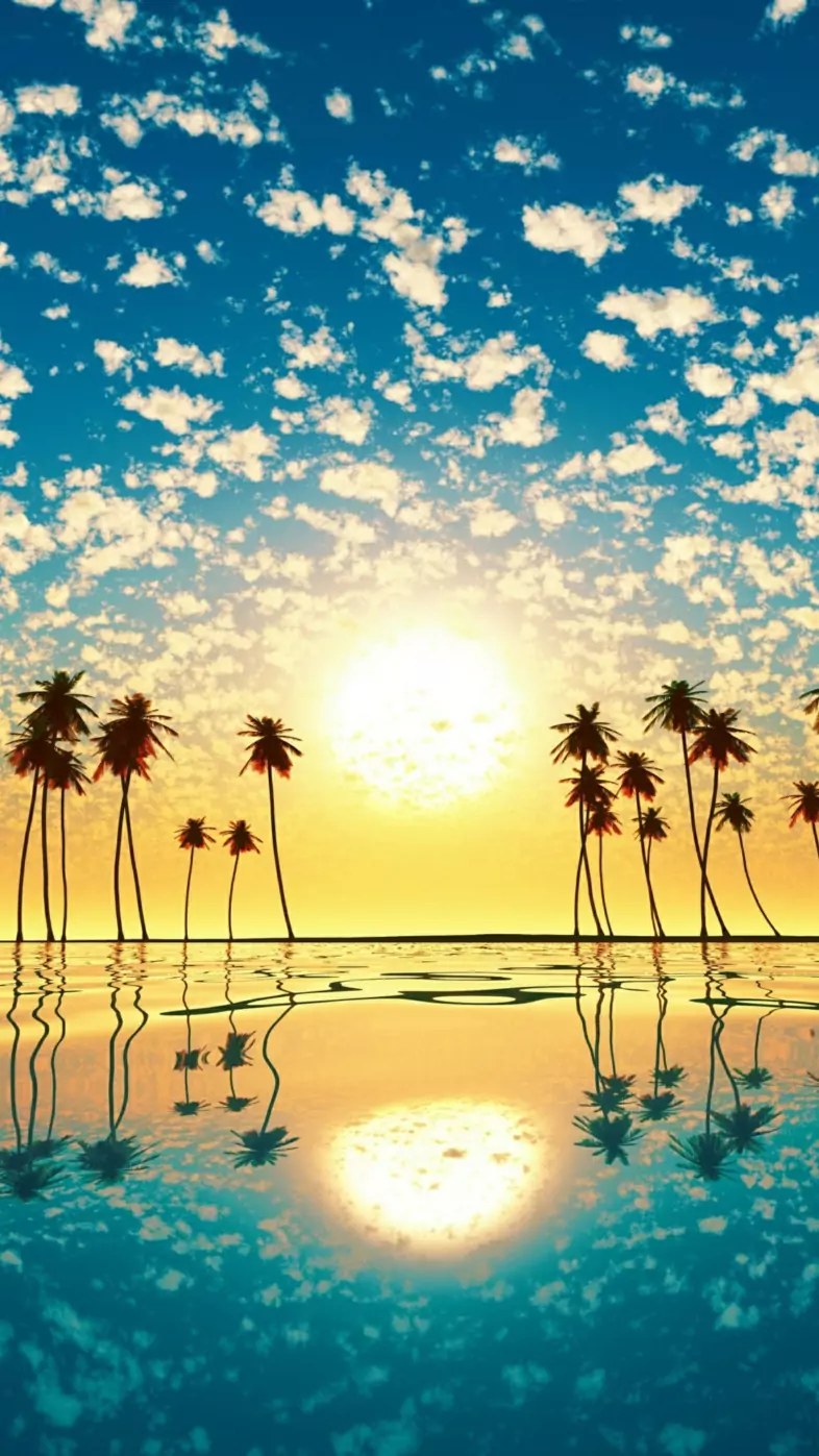 tree horizon sea sunset wallpaper