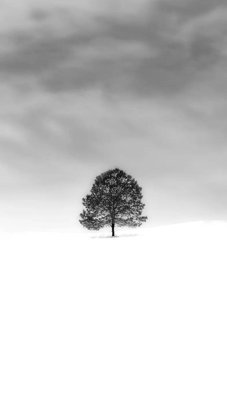tree smoke wallpaper